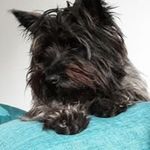 Mark Parkin - @mark.parkin.942 - Instagram