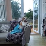 Mark Parkin - @parkin7006 - Instagram