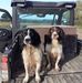 Mark Parkinson - Facebook