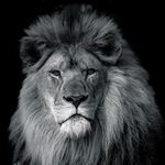 Mark Parris Photography - @mark_parris_photography - Instagram