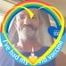 Mark Parry - Facebook