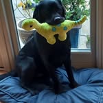 Mark Parry - @markparry8 - Instagram