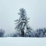 Mark Pasquariello - @markpasq_photos - Instagram