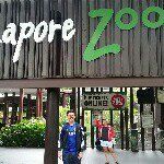 Mark Patrick Tay - @singaporezooanimals - Instagram