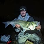 Mark Patterson - @markpatty1 - Instagram