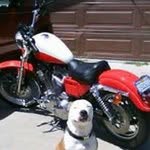 Mark Patty - @daboyz31961 - Instagram