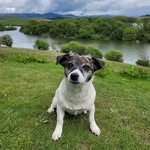 Mark Patty - @bella.trucking.adventures - Instagram