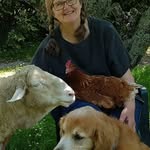 Patty Mark - @pattymarkvegan - Instagram
