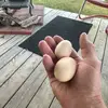 Mark Payne - @mark.payne137 - TikTok