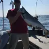 markpayton981 - @markpayton981 - TikTok