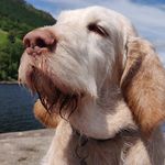 Mark Pearse - @mark.pearse.77 - Instagram