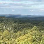 Mark Pearse - @pearse_mark - Instagram