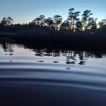 Mark Pelfrey - @pelf1969 - Instagram