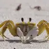 markpellerin - @markpellerin - TikTok