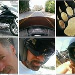 Mark Pellerin - @bear.armor - Instagram