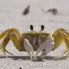 markpellerin - @markpellerin - TikTok