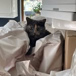 Mark Penrose - @rosepen11 - Instagram