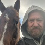Mark Percival - @stawell_harness_racing - Instagram