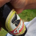 mark percival howell oliva - @markpercivalhowell - Instagram