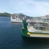 Mark Pereda - @mark.pereda - TikTok