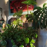 Mark Perkins - @mark.perkins.547389 - Instagram