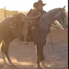 Mark Perkins - @markperkins104 - TikTok