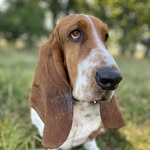 Mark Perkins - @markperkins2103 - Instagram