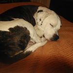 Mark Perrin - @mark.perrin.547 - Instagram