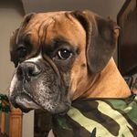 Mark Perron - @trajikstuff - Instagram