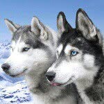 @mark_peterman - Instagram