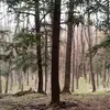 PetermanWoodworking - @markpeterman50 - TikTok
