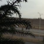 Mark Petersen - @petersen_m_photography - Instagram
