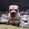Mark Peterson - @markpeterson1707 - TikTok