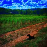 mark petrovich - @petrovich.mark - Instagram