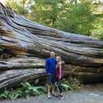Mark Petrovich - Facebook
