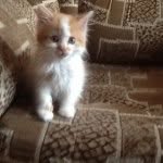 Mark Petrovich - @petrovich_mark - Instagram