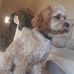 Mark Pfluger - Facebook
