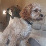 Mark Pfluger - @markpfluger - Instagram