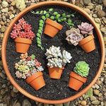 Mark Pham - @markpham58 - Instagram