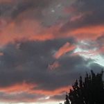 Mark Phelps - @mark.phelps.906638 - Instagram