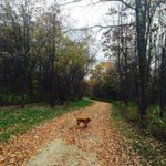 Mark Philips - @mark.philips - Instagram