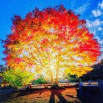 Mark Philips - @a_richymark - Instagram