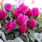 Mark philips - @markphilips341 - Instagram