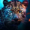 Mark Philips - @mark.philips44 - TikTok