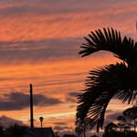 Mark Phillips - @markphillips2018 - Instagram