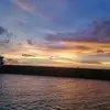 Mark Phillips - @mark.phillips78 - TikTok