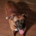 Mark Phinney - Facebook
