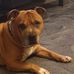 Mark Phipps - Facebook