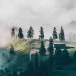 Mark Piatt - @piattmark80 - Instagram