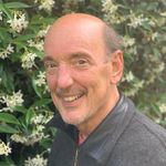 Mark Picciano - @markdfp - Instagram